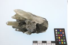 Foto von Apatit (NHMW-MIN-Aa753)